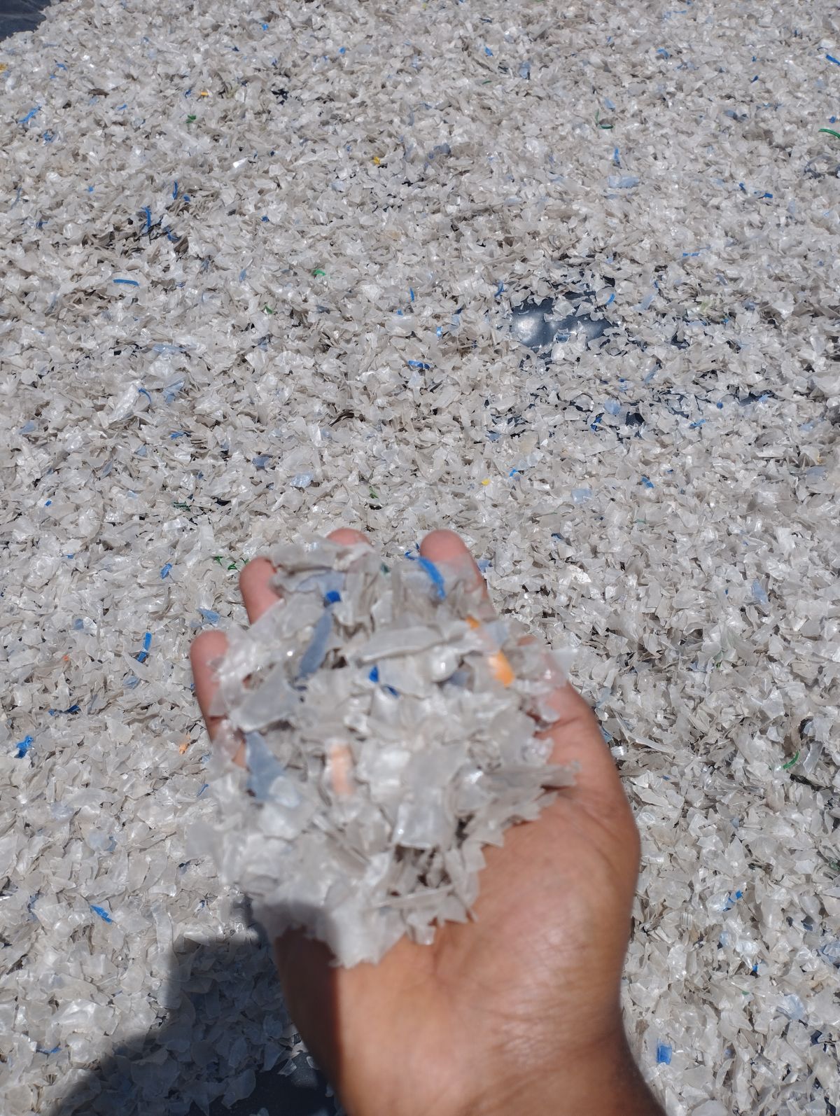 Washed & Crushed Plastic Flakes