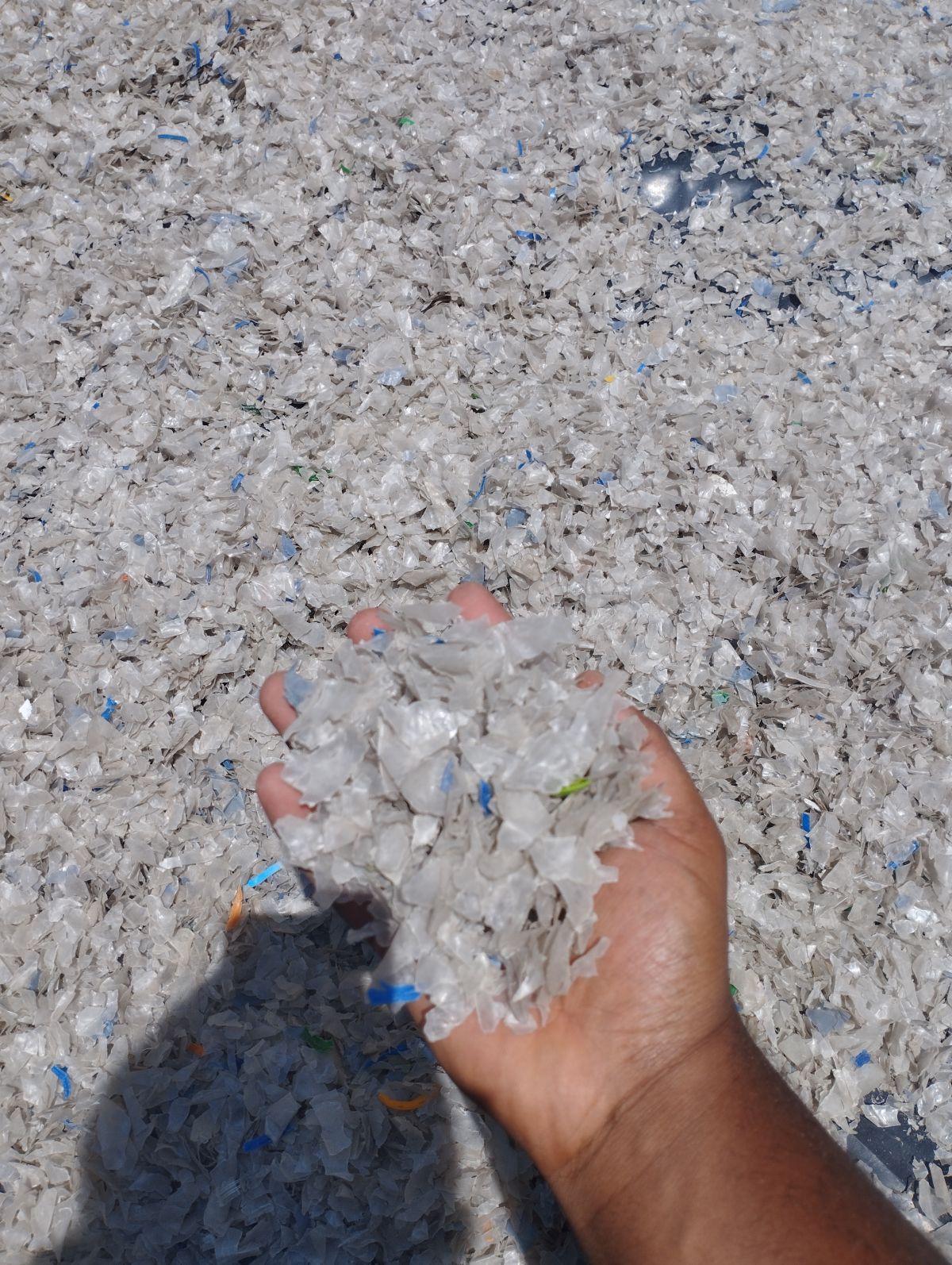 Raw Materials